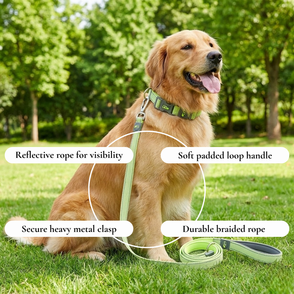 Green Woven Leash & Collar Set