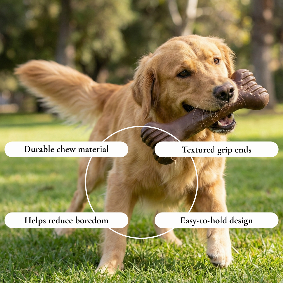 Classic Bone Chew Dog Toy