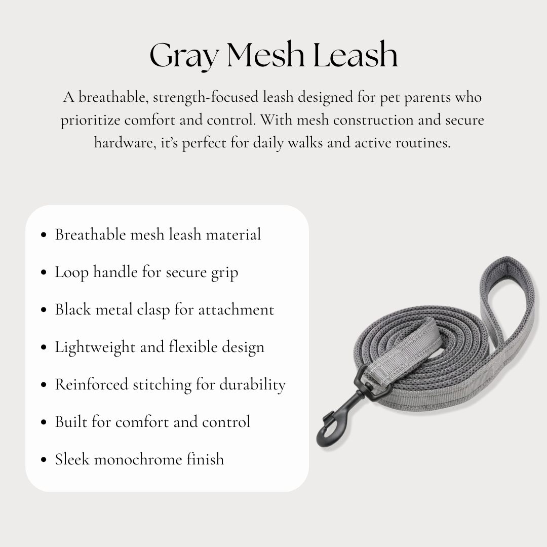 Gray Mesh Leash