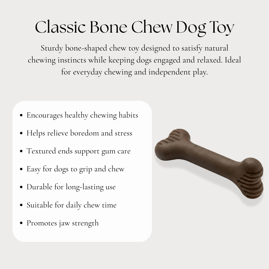 Classic Bone Chew Dog Toy