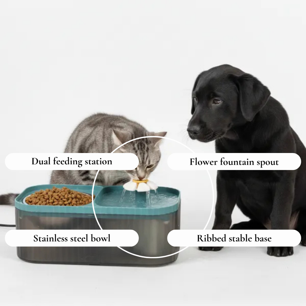 Dual Function Pet Feeding Station