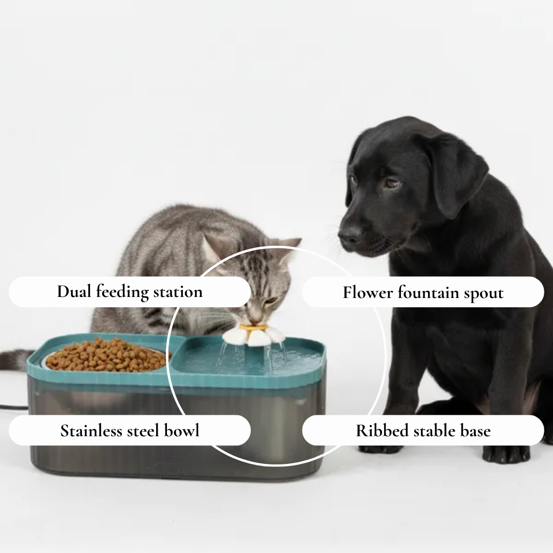 Dual Function Pet Feeding Station