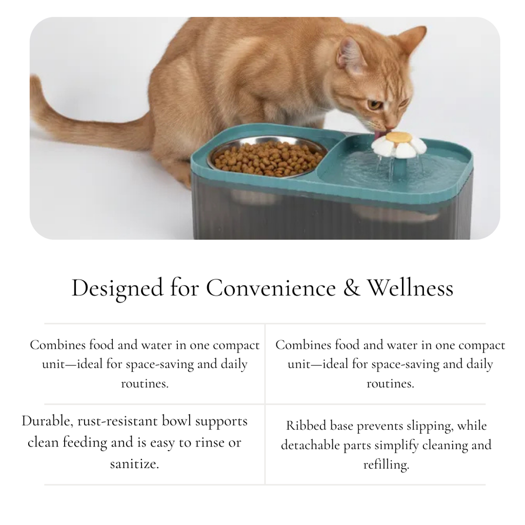 Dual Function Pet Feeding Station