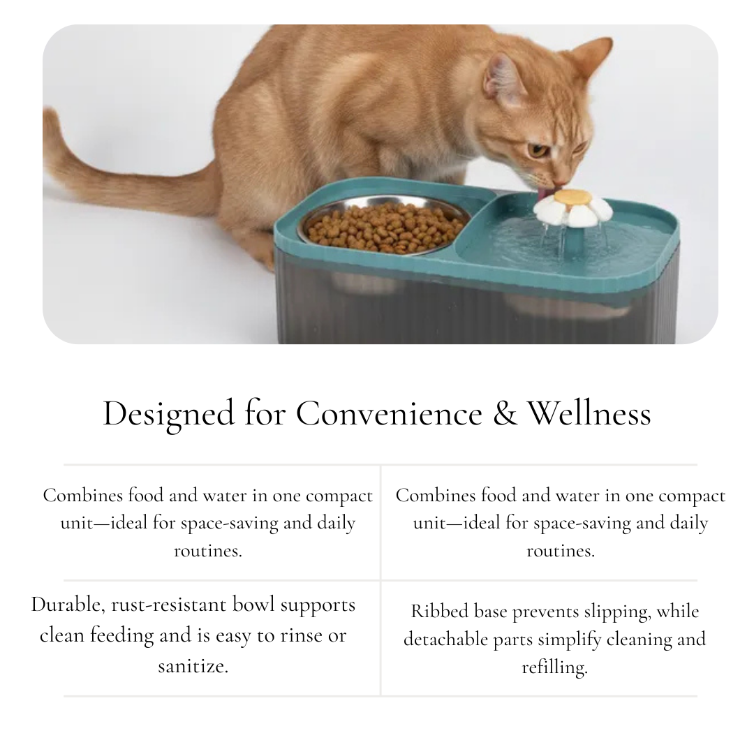 Dual Function Pet Feeding Station