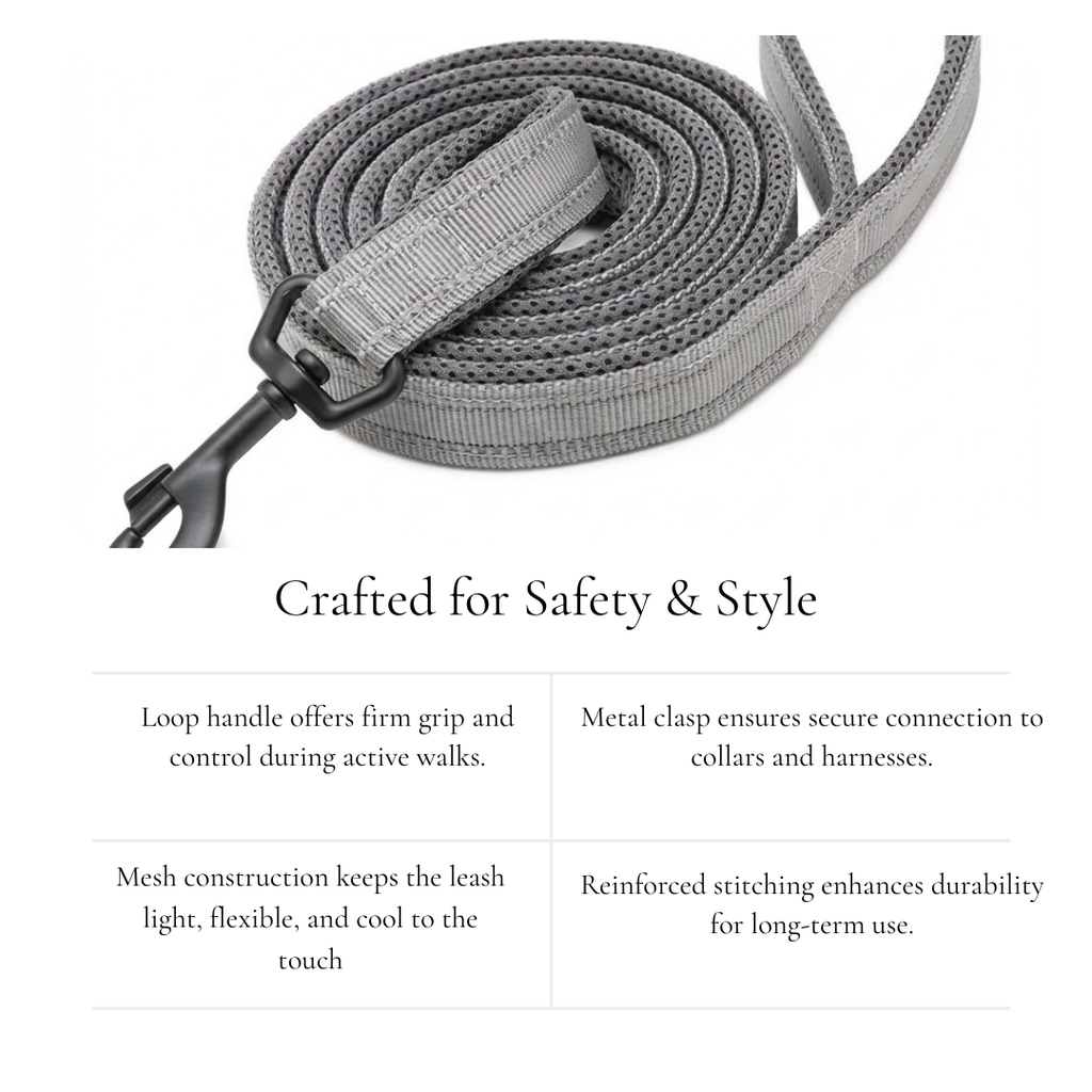 Gray Mesh Leash
