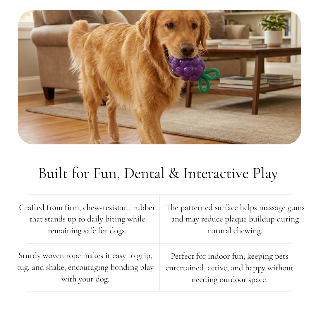 Grape Dog Chew Toy