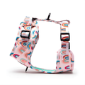 Rainbow Harness – Pink Base