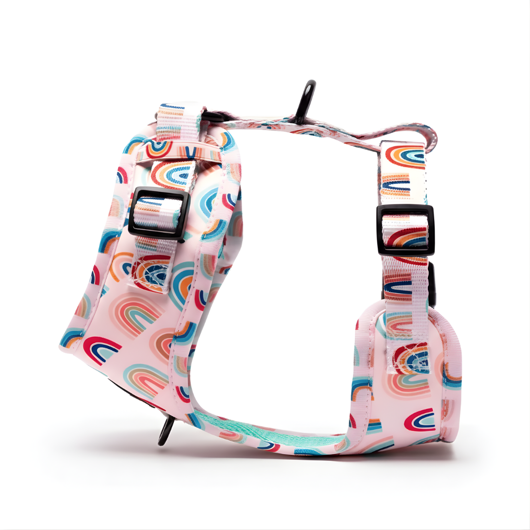 Rainbow Harness – Pink Base
