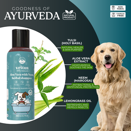 Aloe Vera With Neem Herbal Shampoo