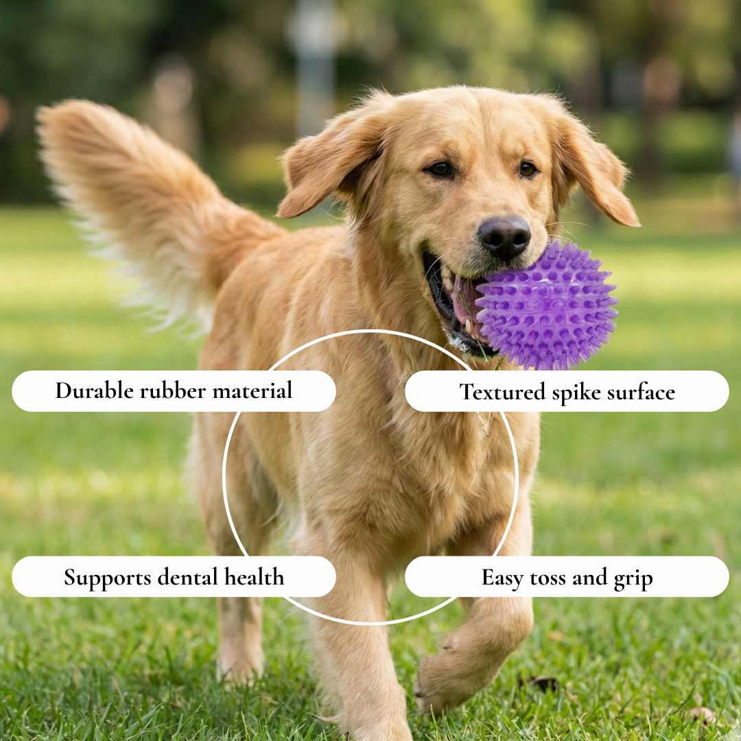 Spiky Dental Chew Ball Dog Toy