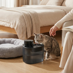 Compact Black Pet Water Fountain