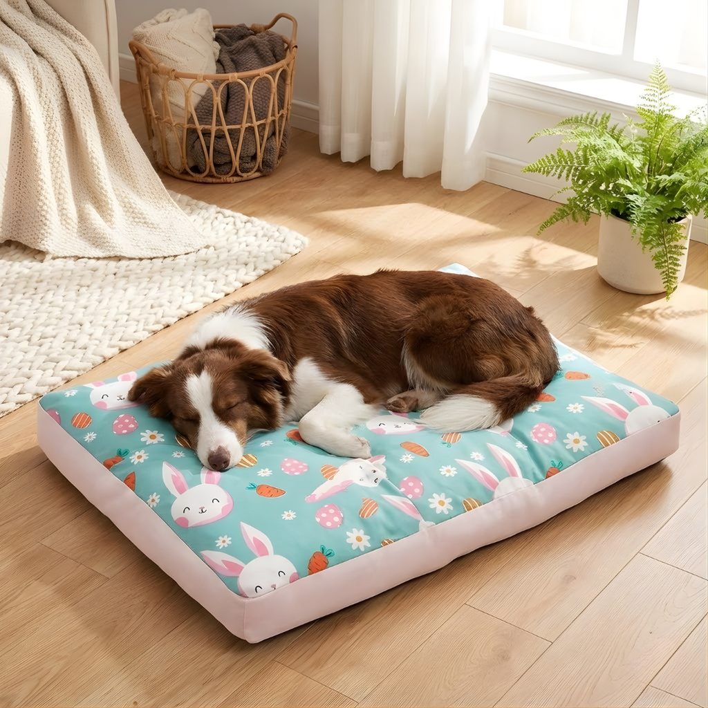 Turquoise Bunny Print Cushion