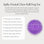 Spiky Dental Chew Ball Dog Toy