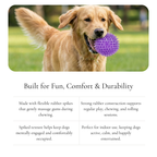 Spiky Dental Chew Ball Dog Toy