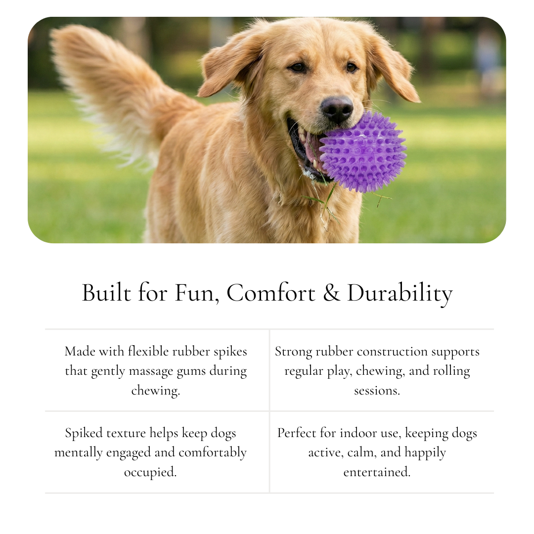 Spiky Dental Chew Ball Dog Toy