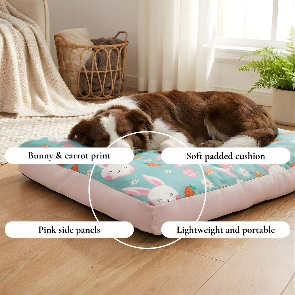 Turquoise Bunny Print Cushion