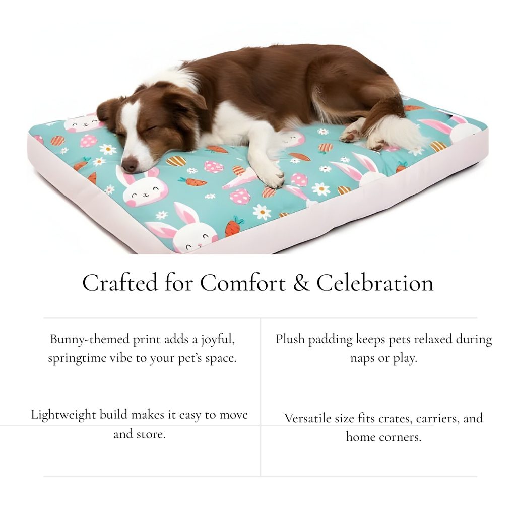 Turquoise Bunny Print Cushion