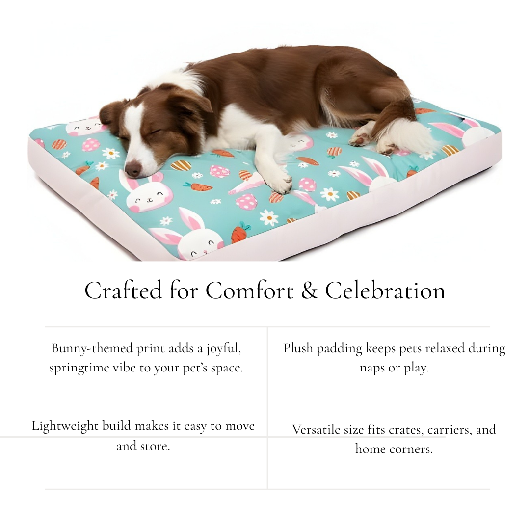 Turquoise Bunny Print Cushion