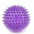 Spiky Dental Chew Ball Dog Toy