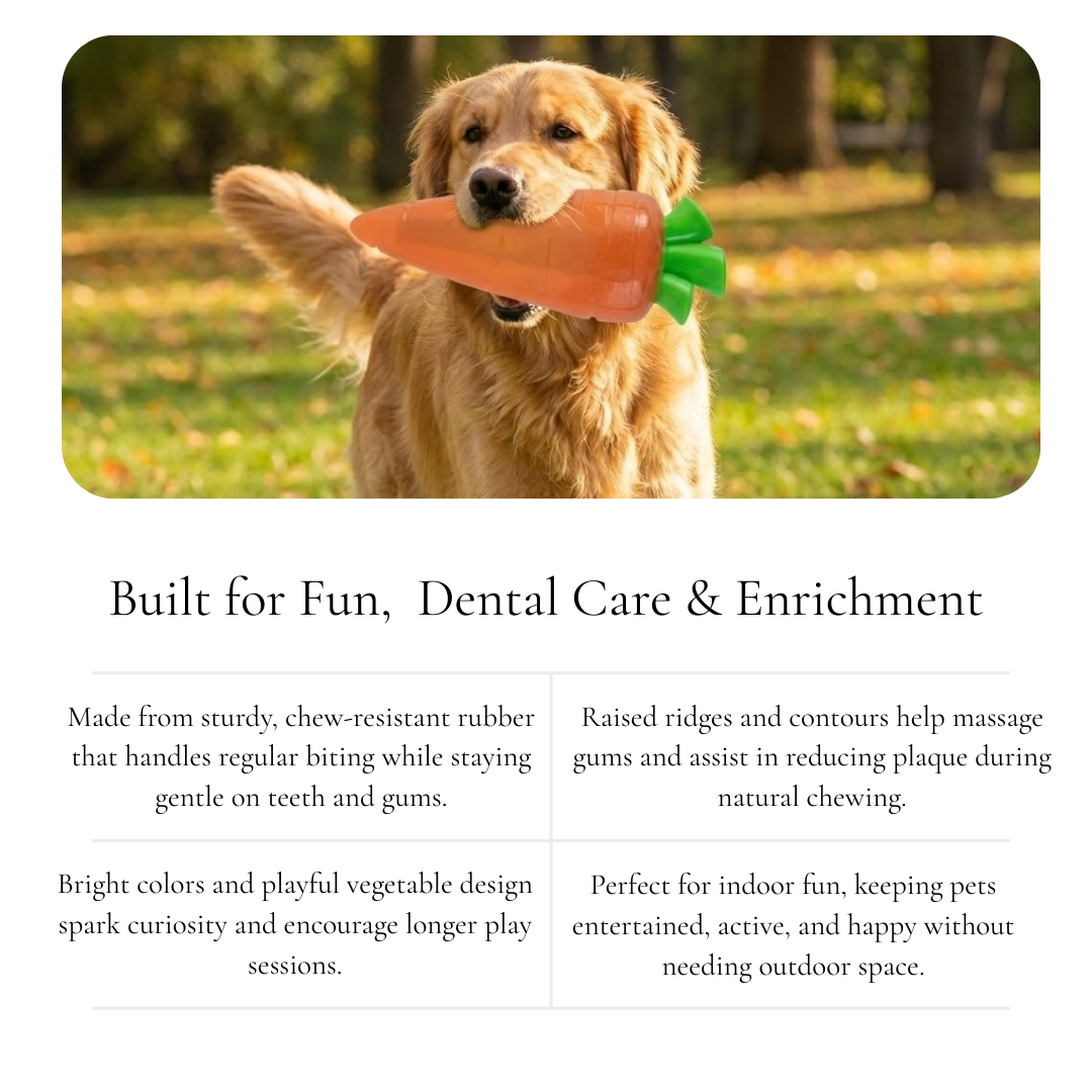 Shelly the Snuggle Carrot Pet Toy