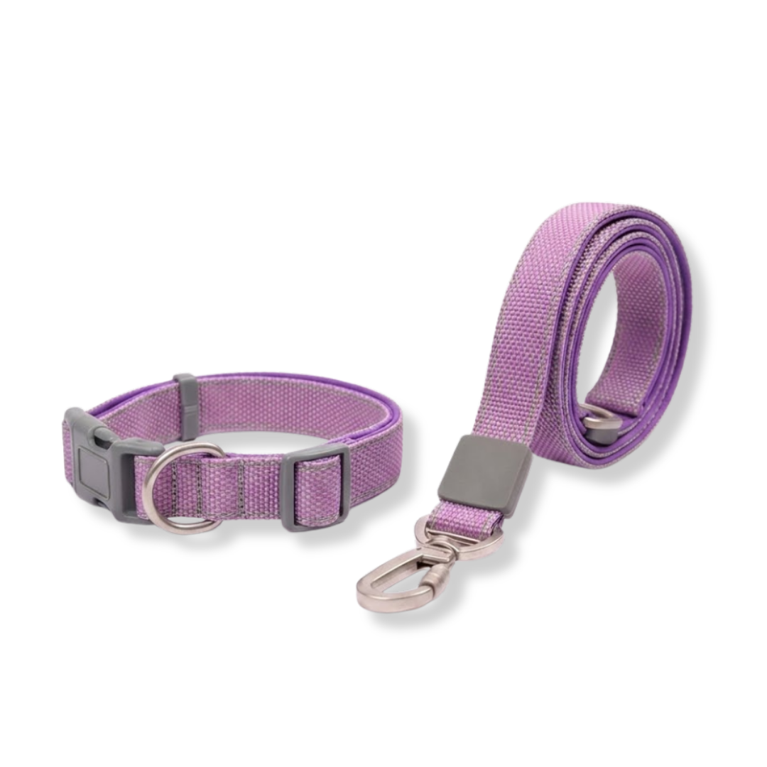 Purple Cartoon Leash & Collar Set