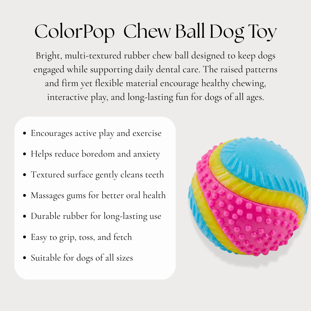 ColorPop  Chew Ball Dog Toy