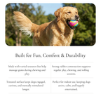 ColorPop  Chew Ball Dog Toy