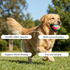ColorPop  Chew Ball Dog Toy