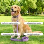 Purple Cartoon Leash & Collar Set