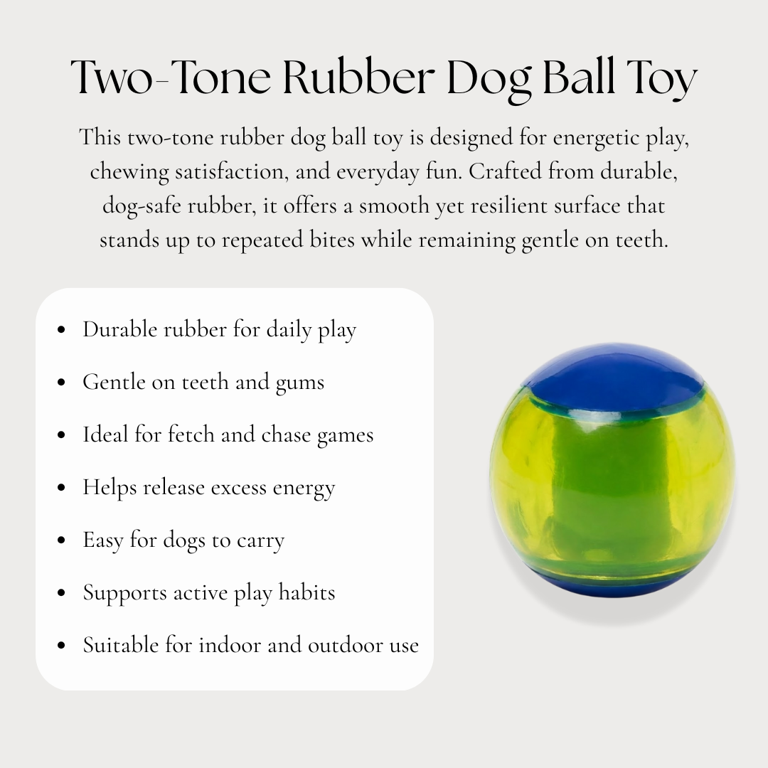 Two-Tone Rubber Dog Ball Toy