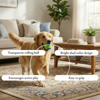 Two-Tone Rubber Dog Ball Toy