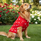 Red Heart Knit Skirt