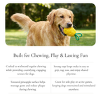 Pineapple Chew Dog Toy