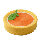 Orange Fruit Inspired Cake