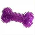 Textured Spiky Bone Dog Toy