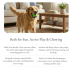 Two-Tone Rubber Dog Ball Toy