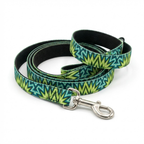 Zigzag Leash & Collar Set