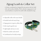 Zigzag Leash & Collar Set