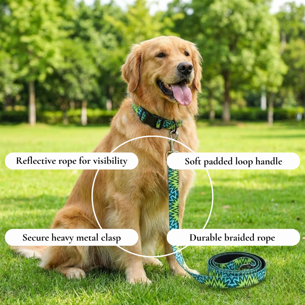 Zigzag Leash & Collar Set