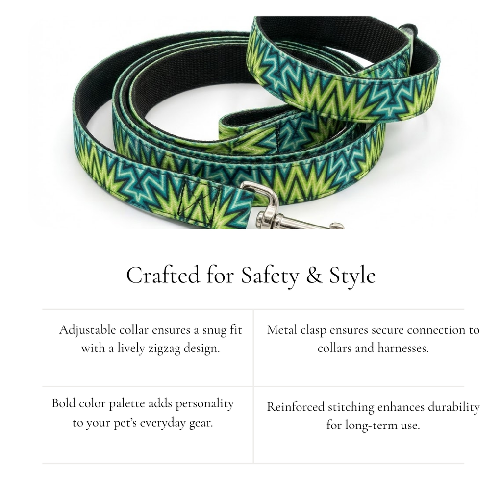 Zigzag Leash & Collar Set