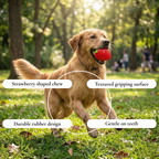 Strawberry-Shaped Rubber Toy