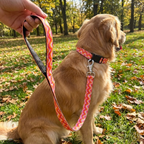 Wavy Sunset Leash & Collar Set