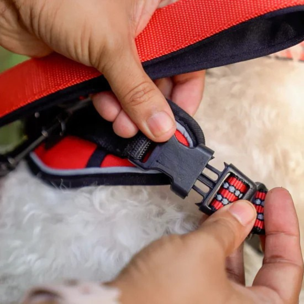 Engonomic Pet Walking Harness