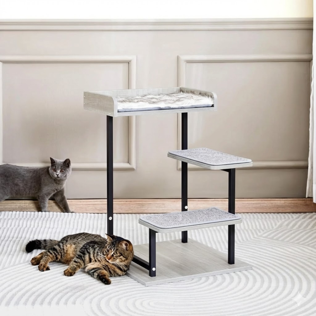 Climb Lounge & Observe Station