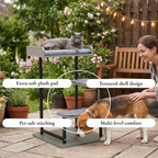 Climb Lounge & Observe Station