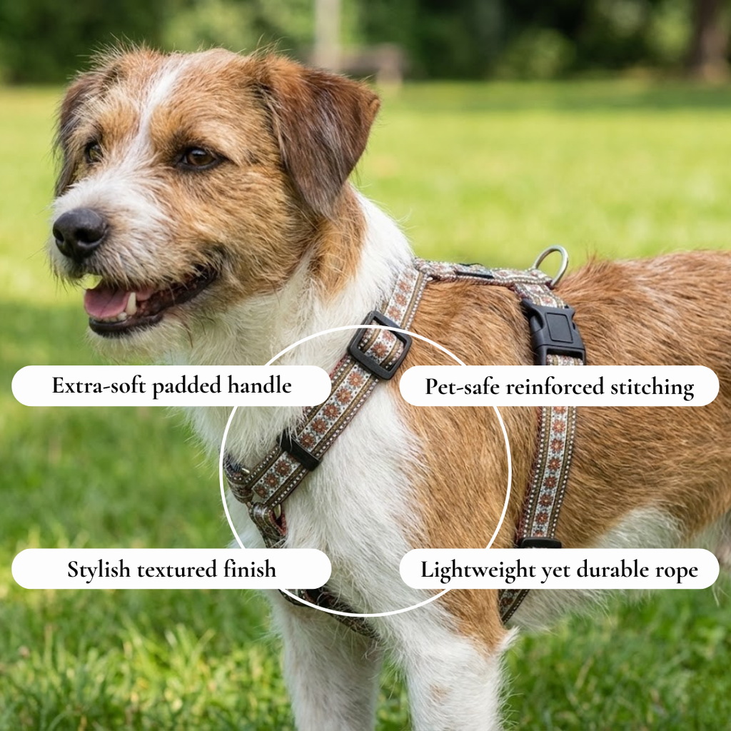Adjustable Dog Harness with Style