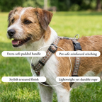 Adjustable Dog Harness with Style