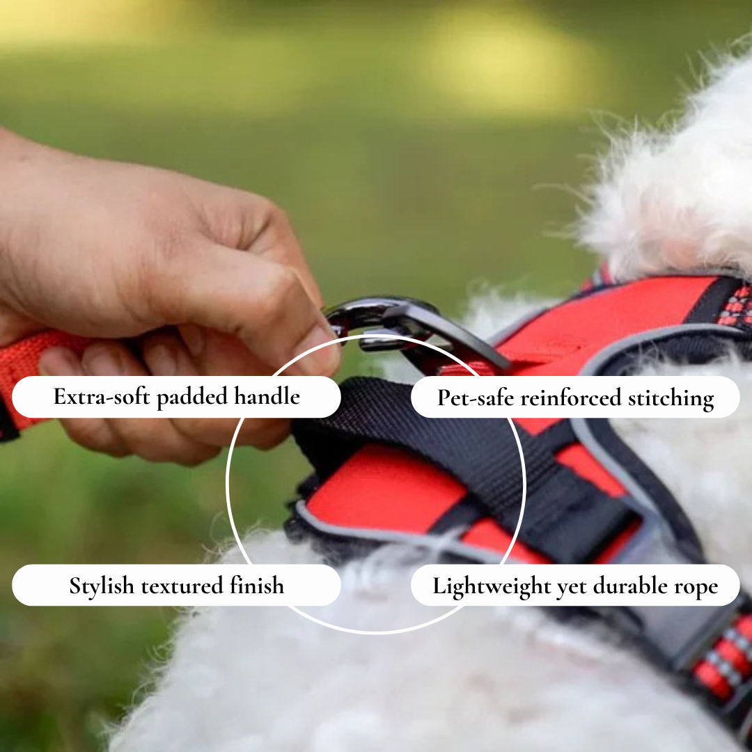 Engonomic Pet Walking Harness