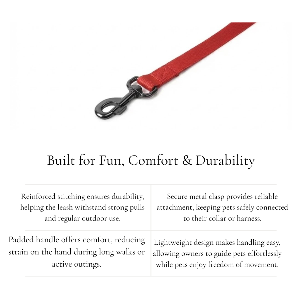 Durable Leash for Daily Walks