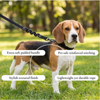 Anti-Pull Dog Walking Leash